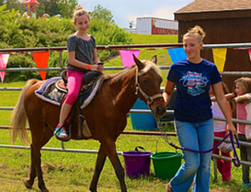 Pony Rides+