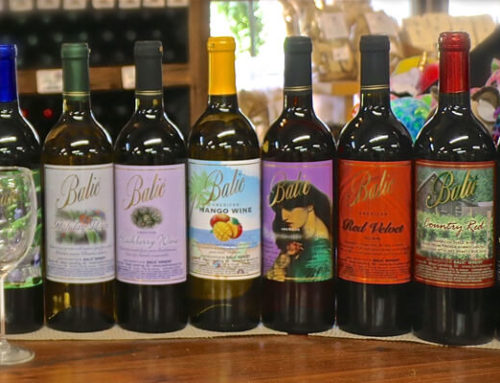 Wine Tasting+
