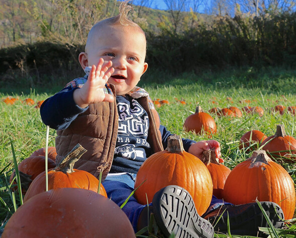 homepage-events-great-pumpkin-festival