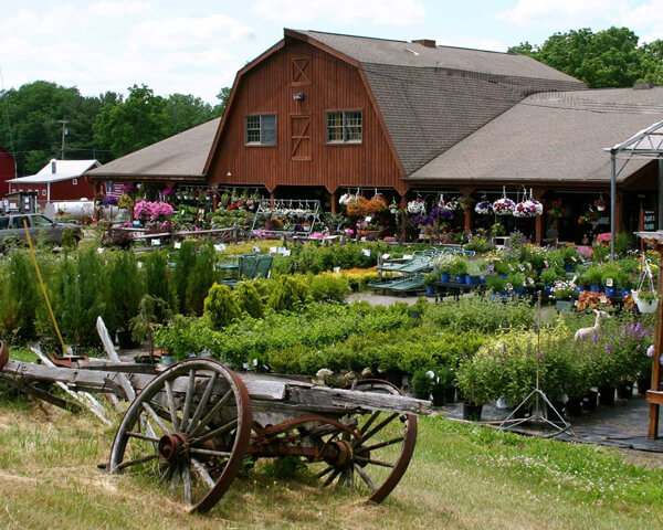 about the farm