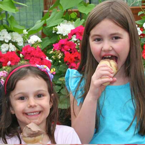 food ice cream