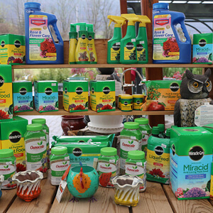 garden center fertilizer