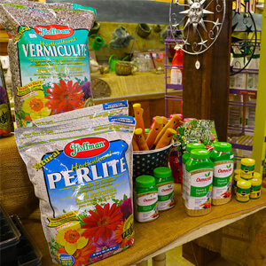 garden center plant care