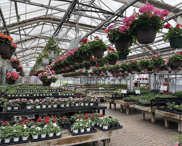 header garden club greenhouse