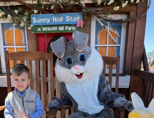 Hopper the Bunny