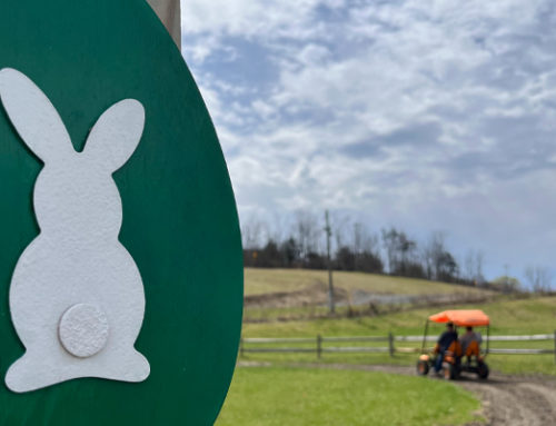 Easter Egg Scavenger Hunt